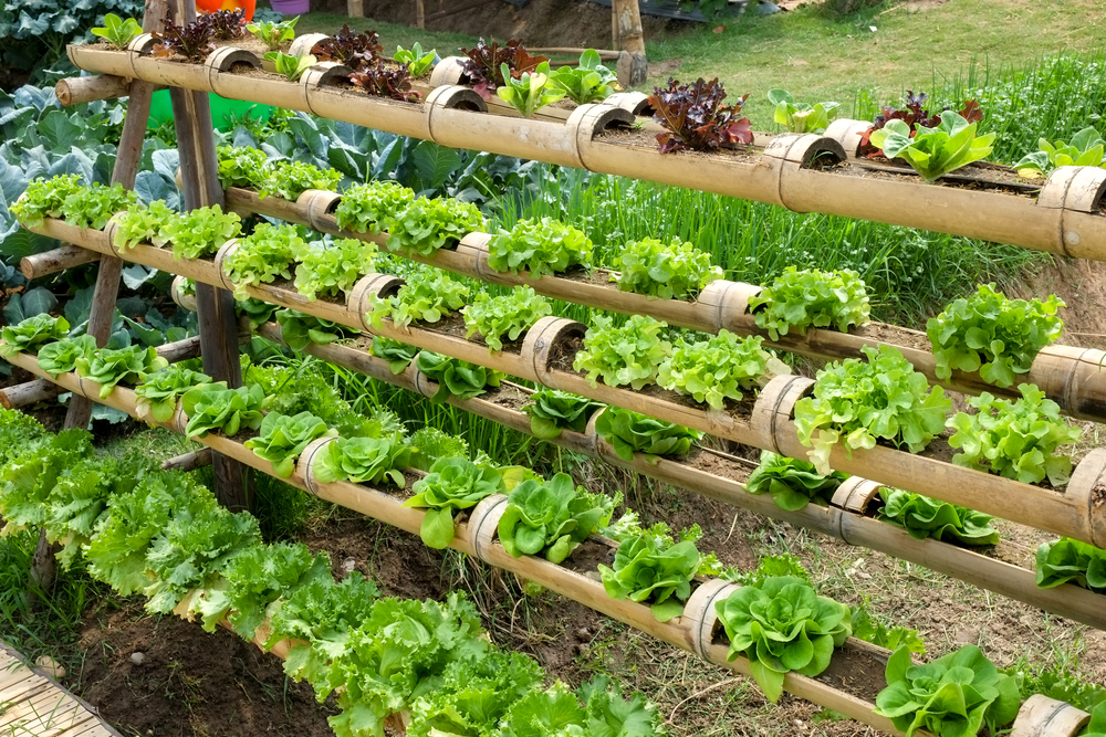 vertical farming