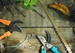 pruning tools