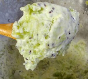 Kiwi Sorbet