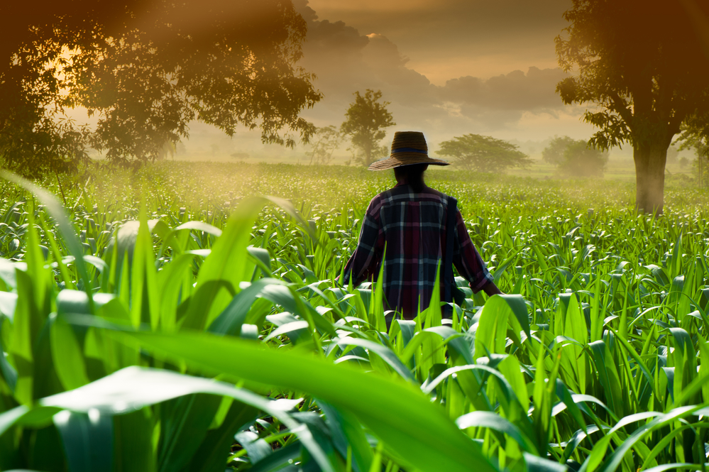 farmers