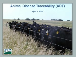 Animal Disease Traceability