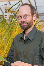 ARS geneticist Ed Buckler is using a large-scale genomic approach to link genes with a crop’s physical traits to make the most of a plant’s natural genetic diversity. Photo credit Cornell University.