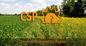 conservation stewardship program nrcs