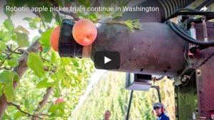 robotic apple picker