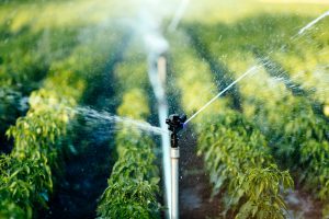 Irrigation Innovation