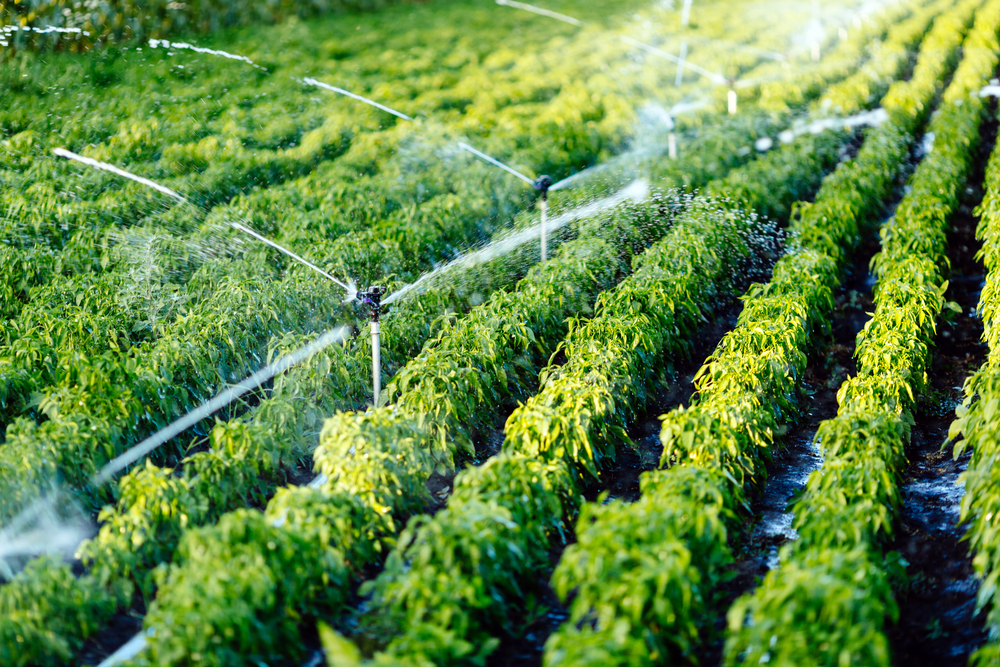 agricultural