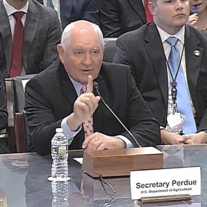 Milk Marketing Order