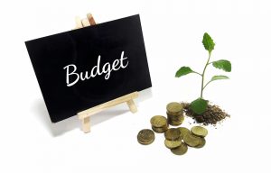 budget