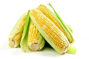 corn