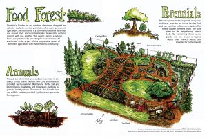 food forest