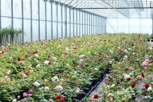 controlled environment