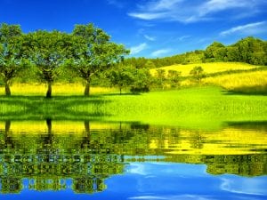 new ‘habitat’ definition