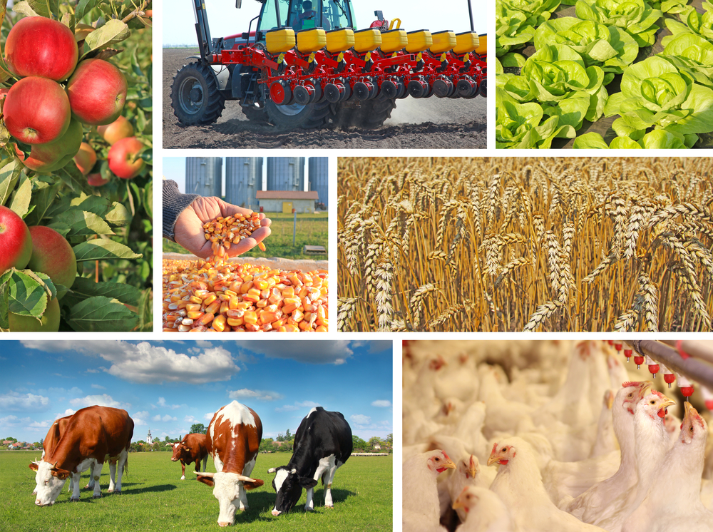 agriculture industry