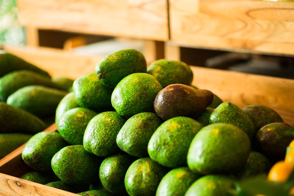 california avocados