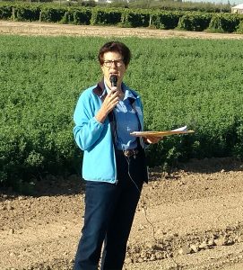 2017 Alfalfa & Forage Field Day