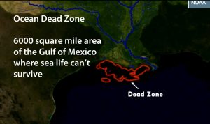 dead zone