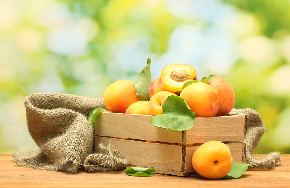 apricot