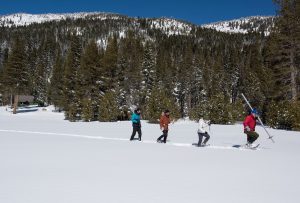 Third Snow Survey