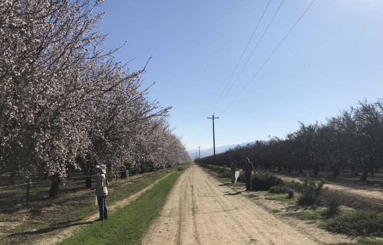 grant pollinator health