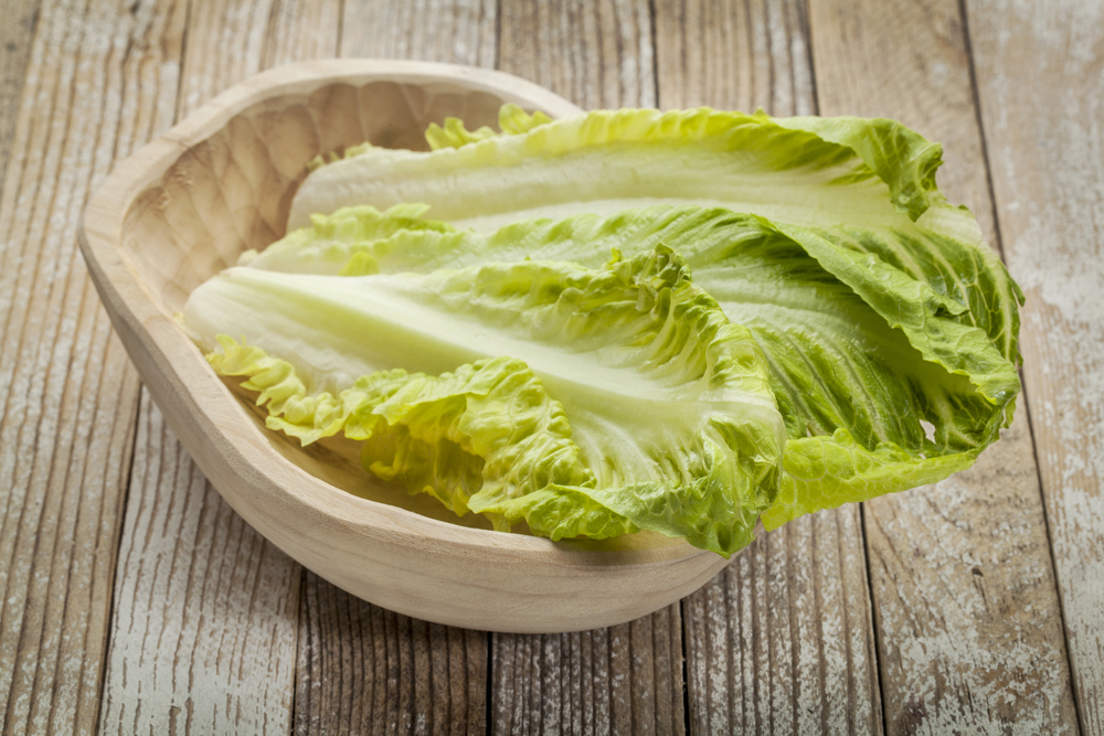 romaine lettuce