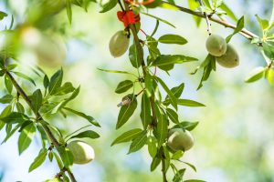 New Water Sensing Technology