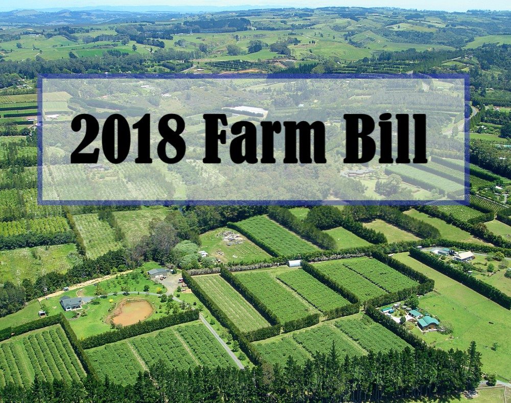 farm bill