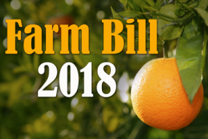 farm bill