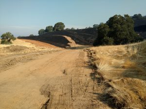 wildfire mitigation