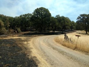 New Research Opportunities