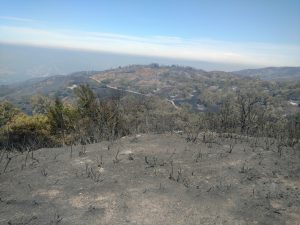 New Research Opportunities