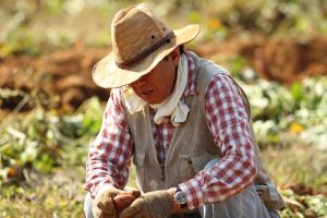 Farmer Equity Act