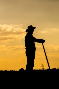 National Cooperative Month