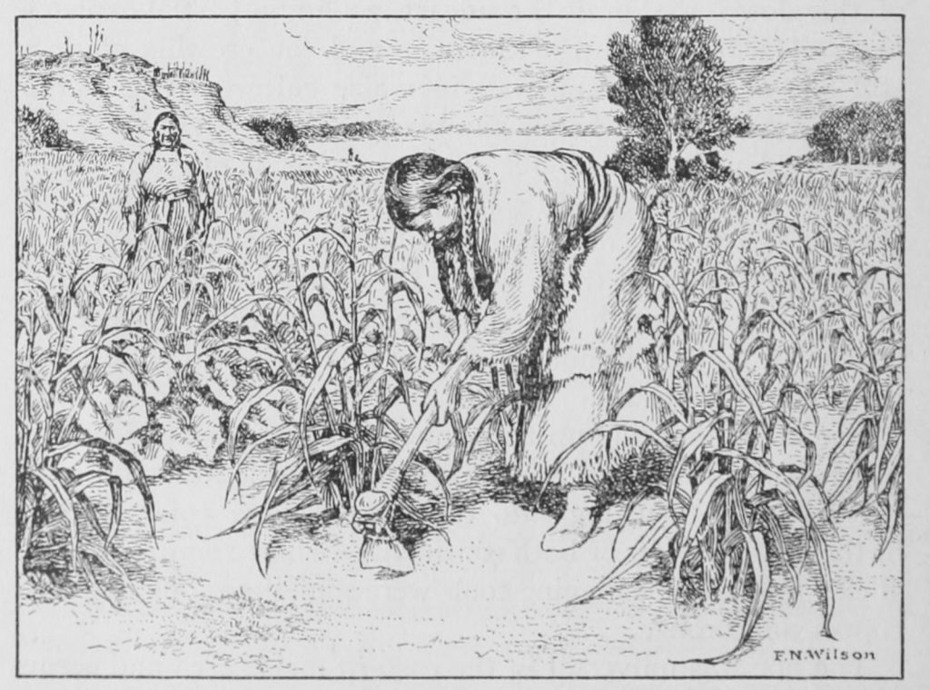 what crops did the native americans introduced to the new world