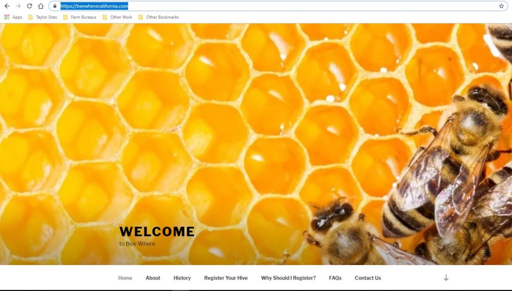 bee