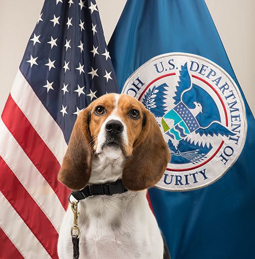 usda