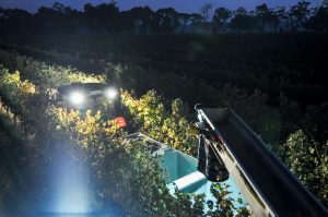 Nighttime Labor Regulations