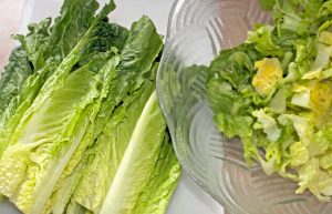 romaine recall