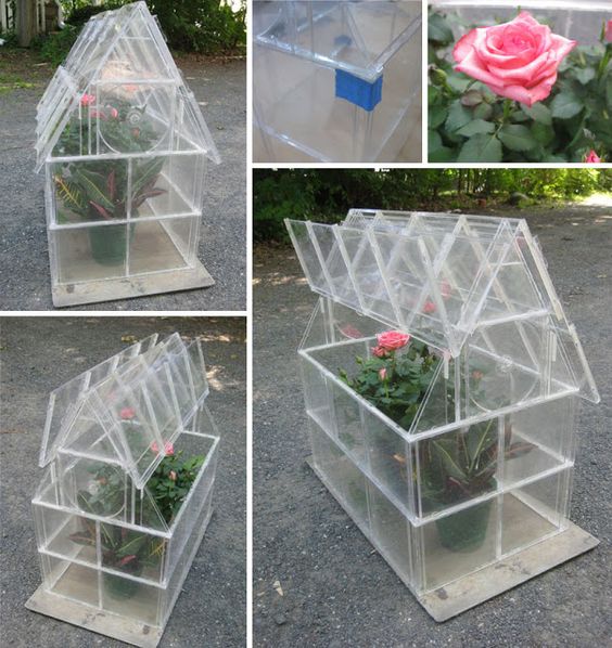 greenhouse