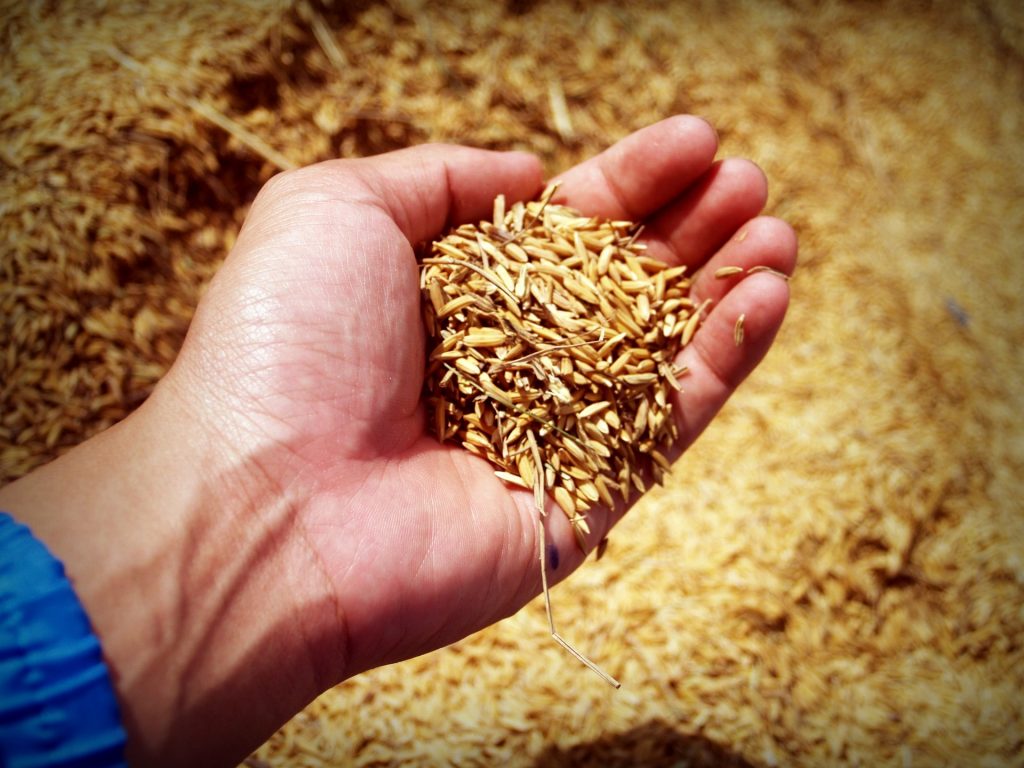 usmca rice