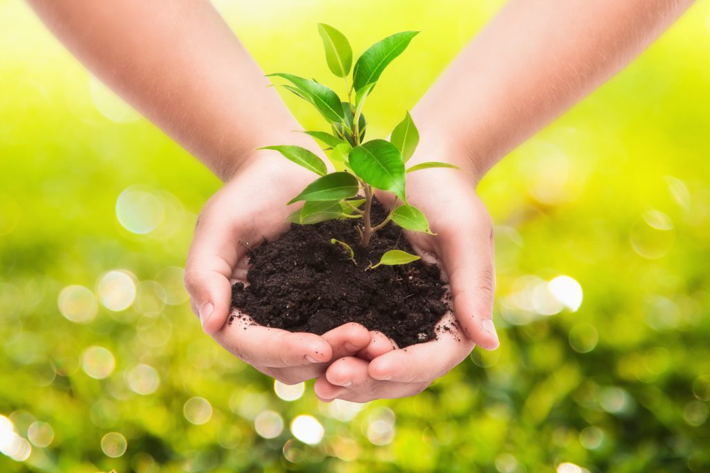 sustainability