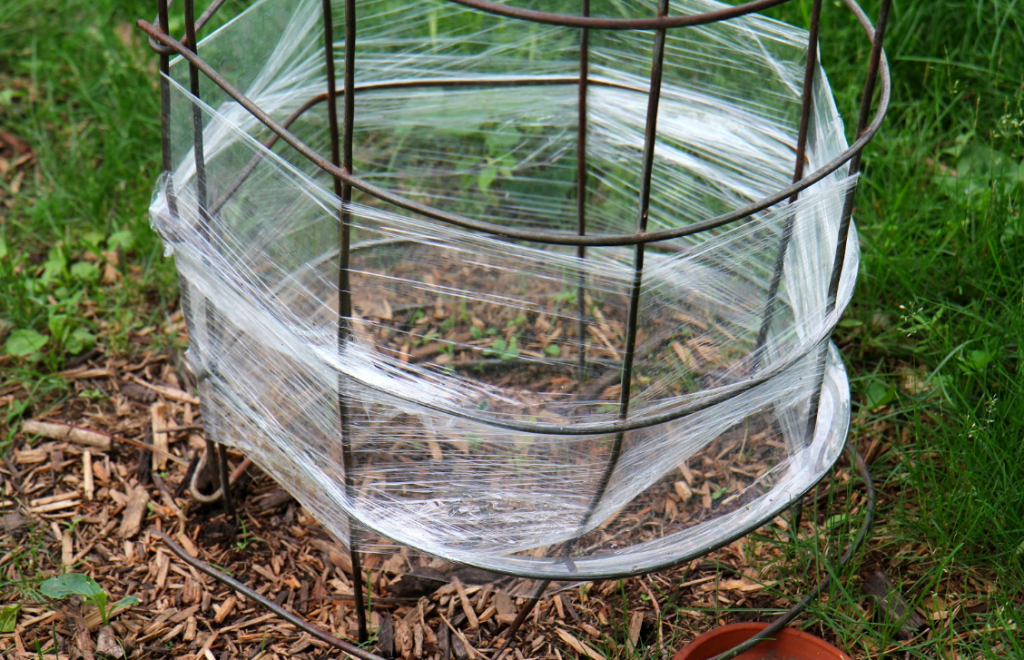 mini greenhouse