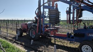mechanical vineyard pruning