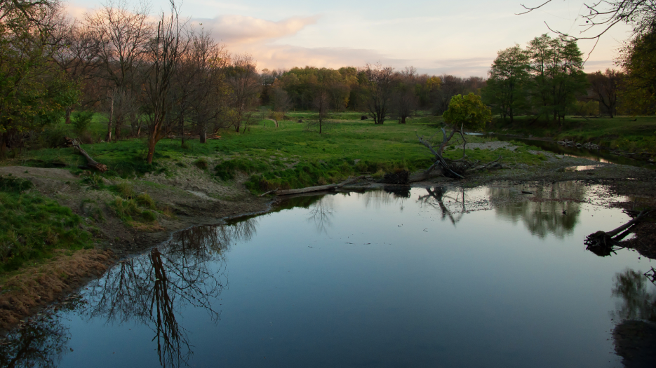 wetland