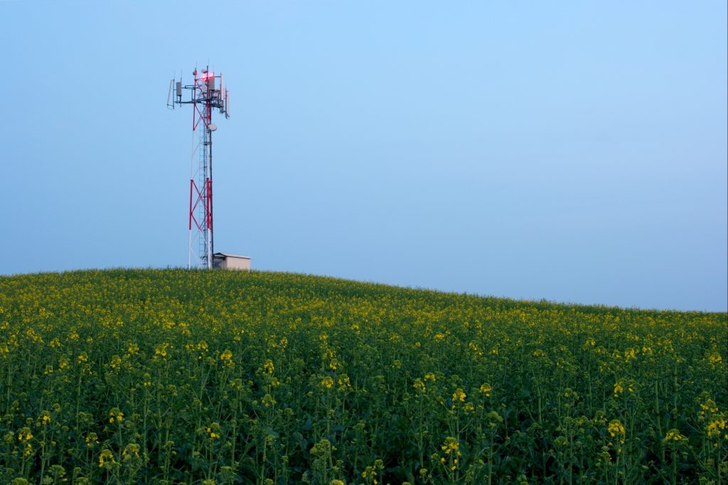 rural