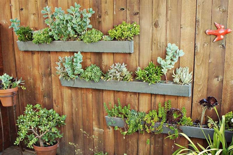 gutter garden