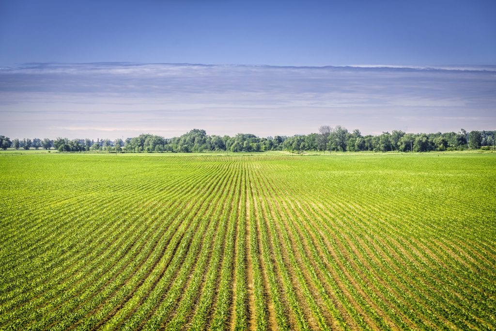 Organic Certification Cost