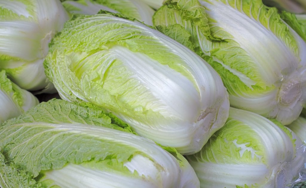 easy grow exotic flavorful cabbage
