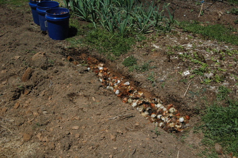 build compost