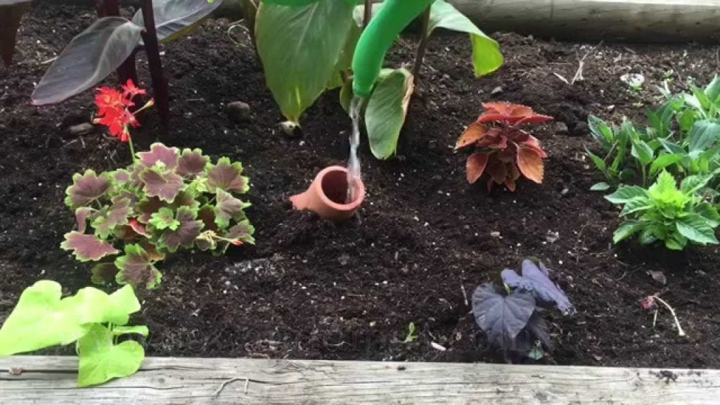 garden