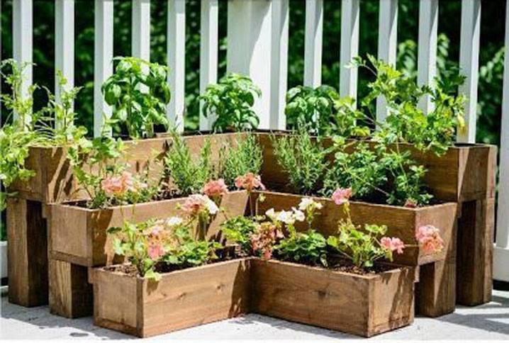 reasons herb garden